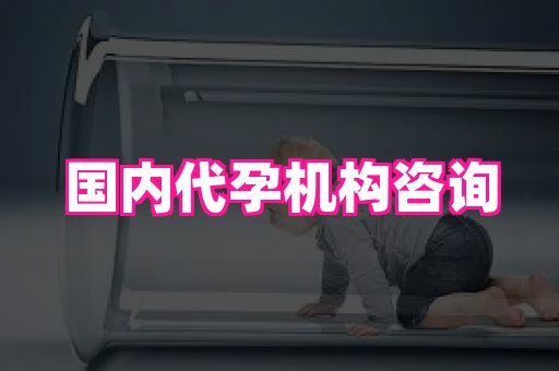 长春助孕网站 1